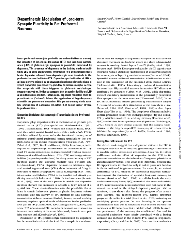 (PDF) Dopaminergic Modulation of Long-term Synaptic Plasticity in Rat ...