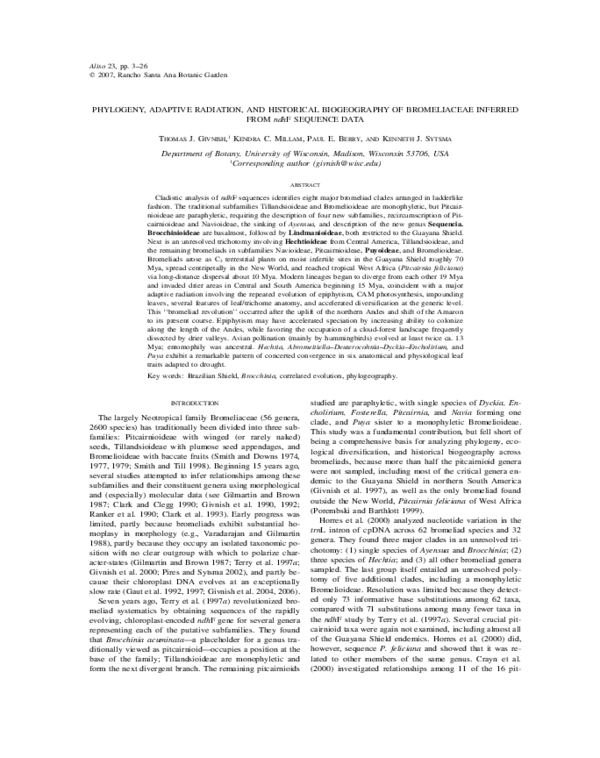 Adaptive radiation essay image