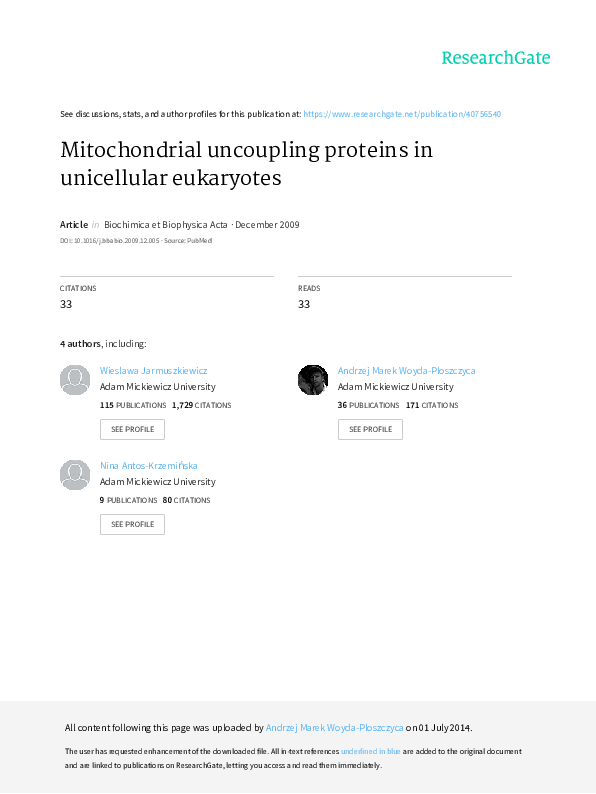 (PDF) Mitochondrial uncoupling proteins in unicellular eukaryotes