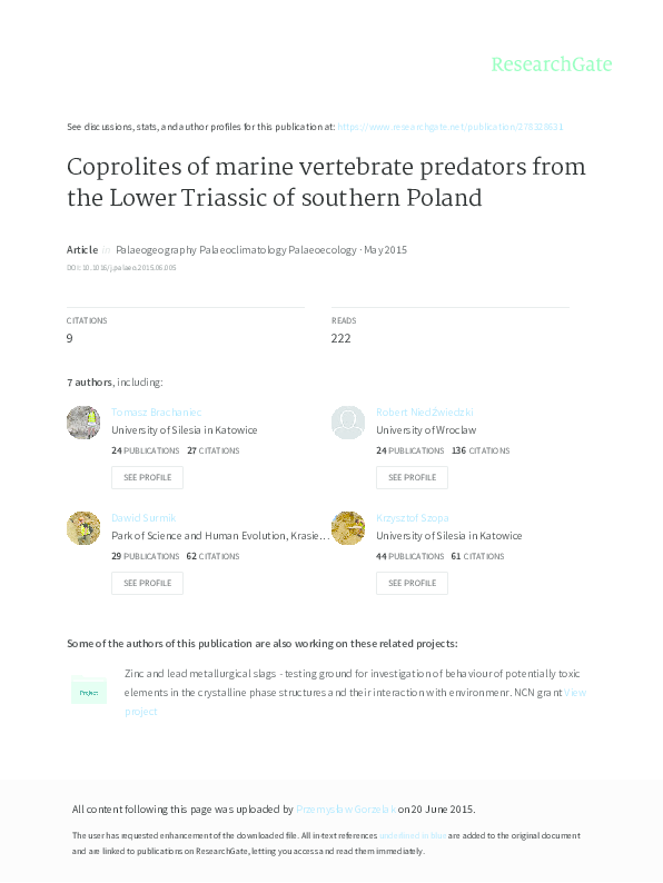 rękawice predator junior