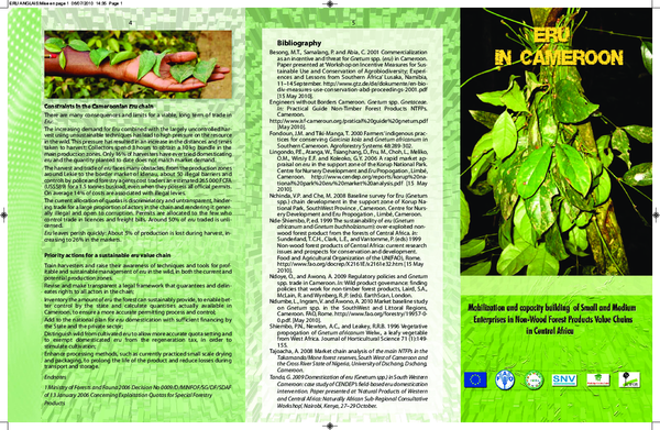 pdf-gnetum-africana-eru-in-cameroon