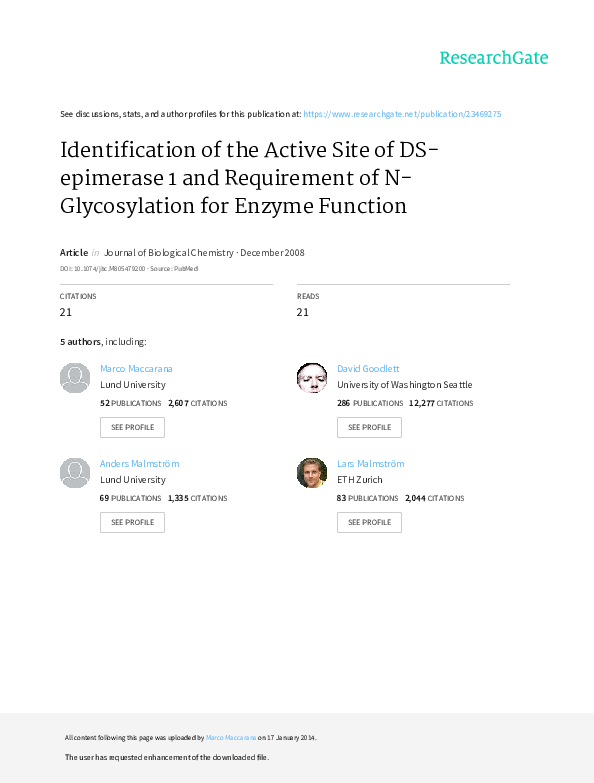 (PDF) Identification of the active site of DSepimerase 1 and