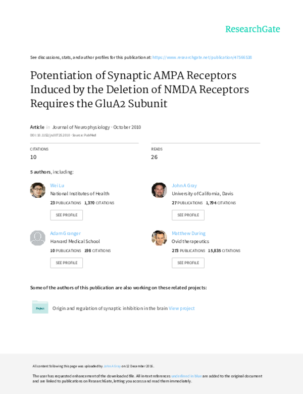 (PDF) Potentiation of synaptic AMPA receptors induced by the deletion ...