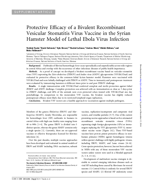 (PDF) Protective Efficacy of a Bivalent Recombinant Vesicular ...