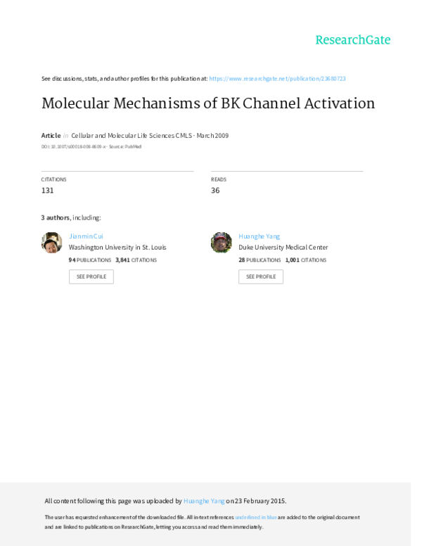 (PDF) Molecular mechanisms of BK channel activation