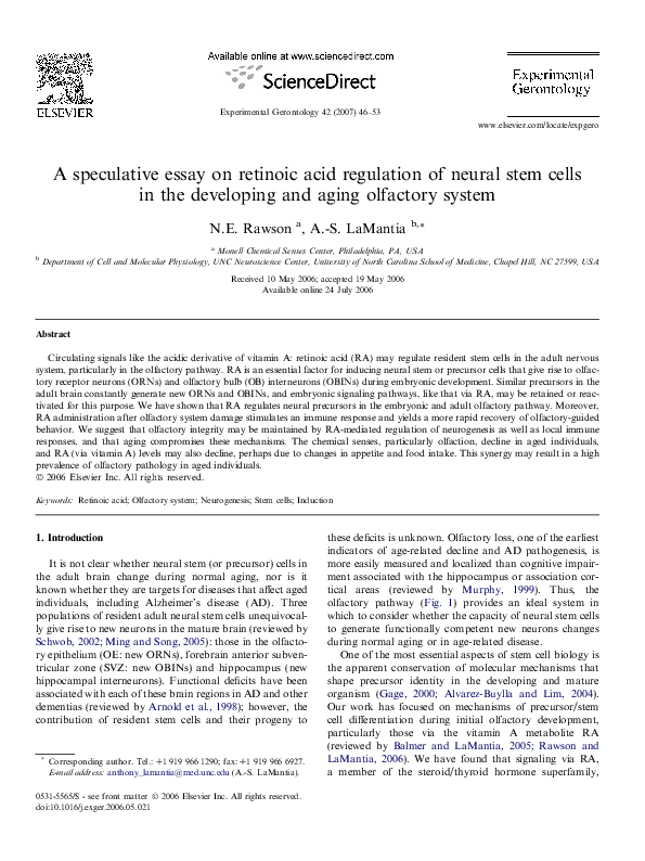 Descriptive essay picture