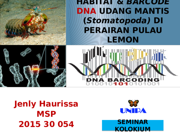 (PPT) COLLOQUIUM - HABITAT CHARACTERISTICS AND DNA OF MANTIS SHRIMP IN ...