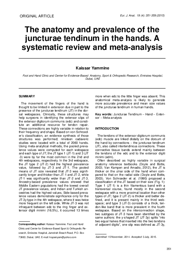 (PDF) The anatomy and prevalence of the juncturae tendinum in the hands ...