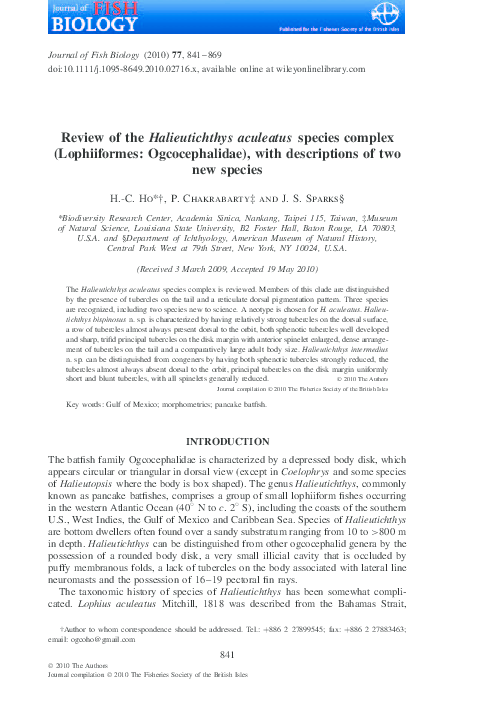 (PDF) Review of the Halieutichthys aculeatus species complex