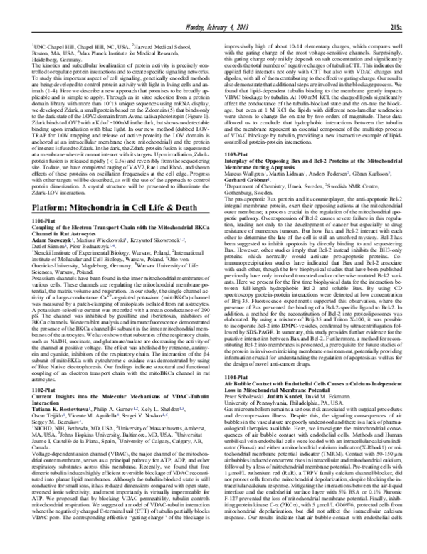 (PDF) Coupling of the Electron Transport Chain with the Mitochondrial ...