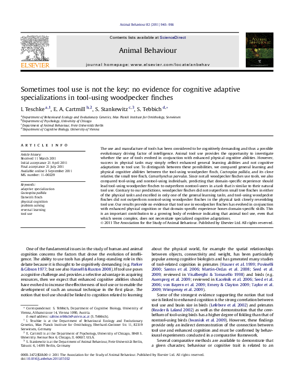 (PDF) Sometimes tool use is not the key: no evidence for cognitive ...