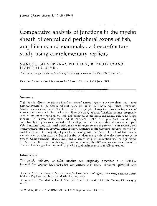 (PDF) Comparative analysis of junctions in the myelin sheath of central ...