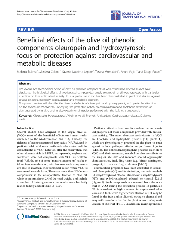 (PDF) Beneficial effects of the olive oil phenolic components ...
