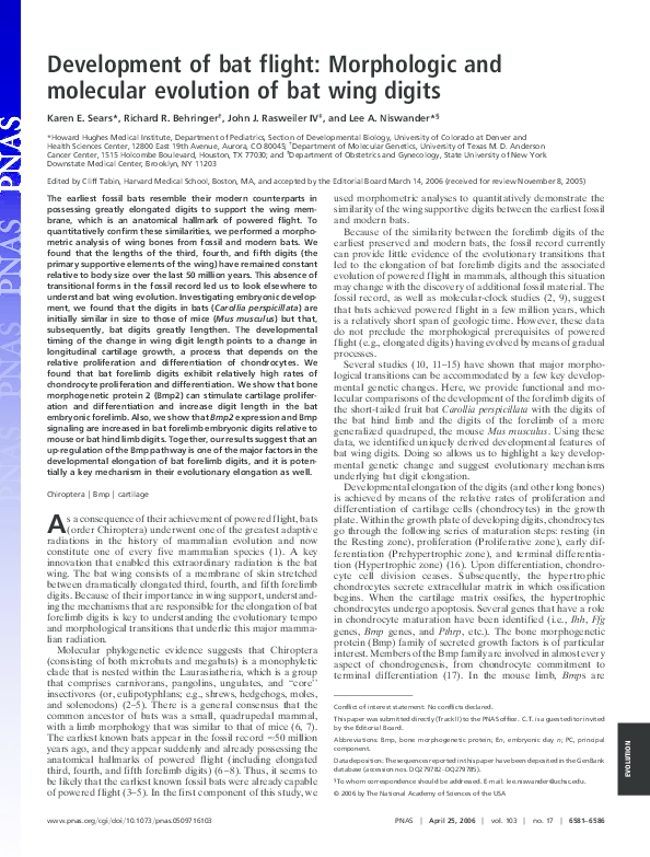 (PDF) Development of bat flight: Morphologic and molecular evolution of ...