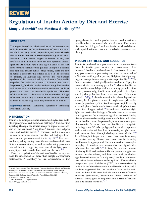 (PDF) Regulation of Insulin Action by Diet and Exercise