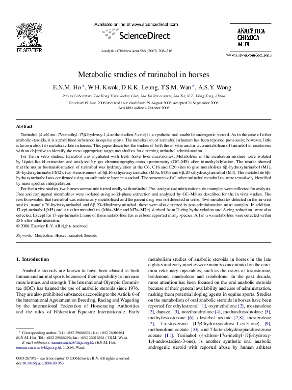 Metabolic race essay 08 picture