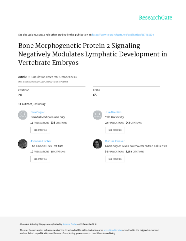 (PDF) Bone Morphogenetic Protein 2 Signaling Negatively Modulates ...