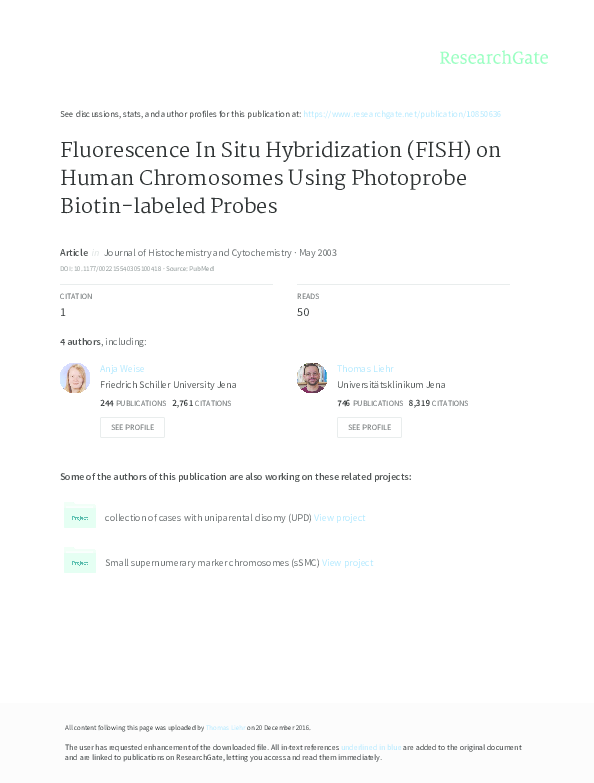 4c Fluorescent In Situ Hybridization Fish The Human Application Of