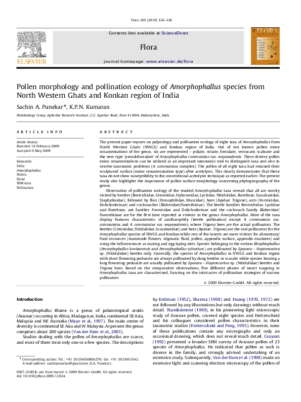 (PDF) Pollen morphology and pollination ecology of Amorphophallus ...