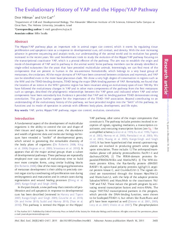 (PDF) The Evolutionary history of YAP and the Hippo/YAP pathway