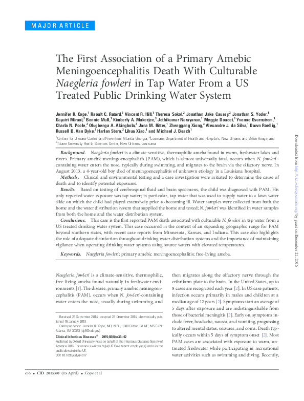 Naegleria fowleri essay picture