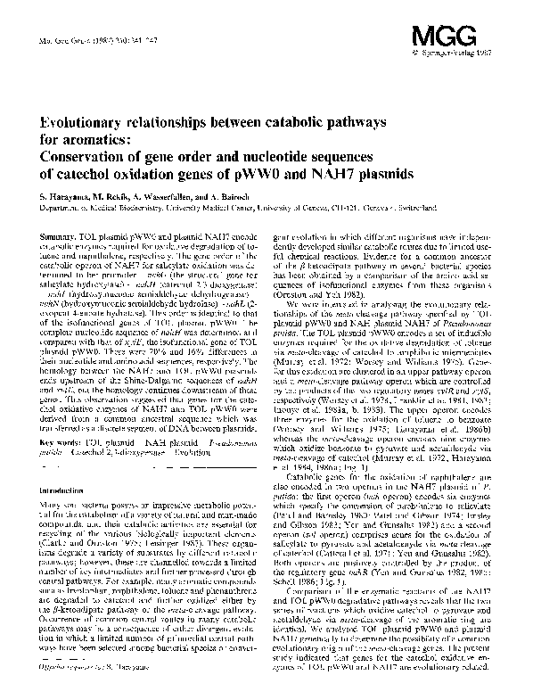 Anabolism and catabolism picture