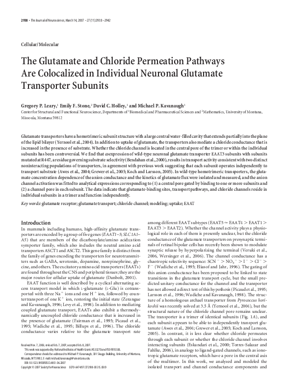 (PDF) The glutamate and chloride permeation pathways are colocalized in ...