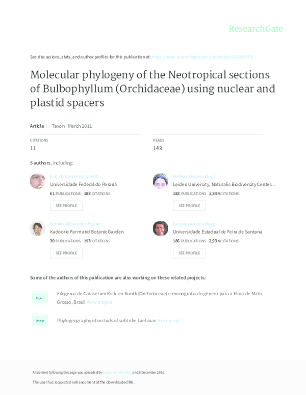 (PDF) Molecular phylogeny of the Neotropical sections of Bulbophyllum ...