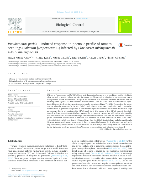 Where did tomatoes originate picture