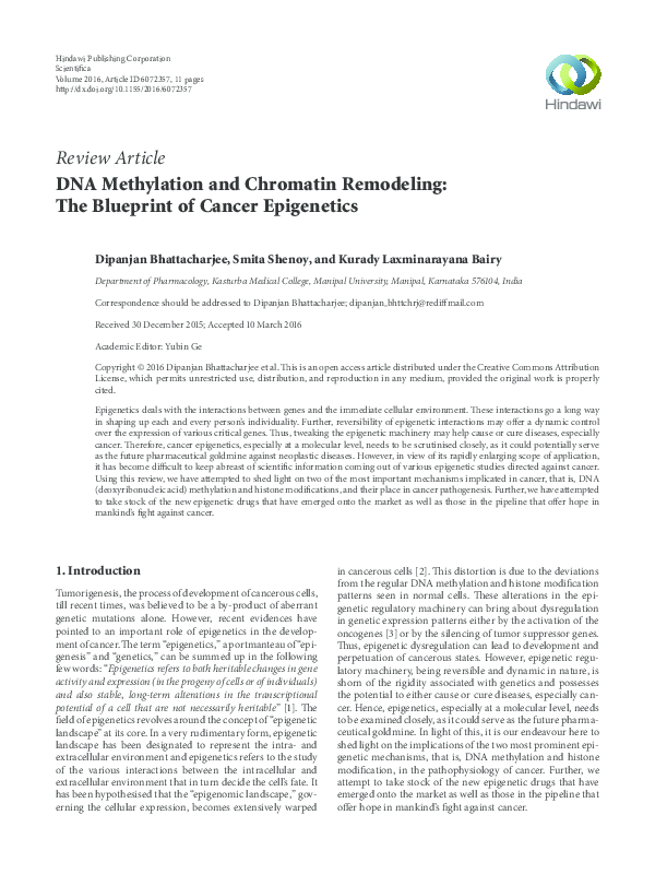 (PDF) DNA Methylation and Chromatin Remodeling: The Blueprint of Cancer ...