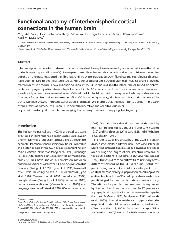 (PDF) Functional Anatomy of Interhemispheric Cortical Connections In ...
