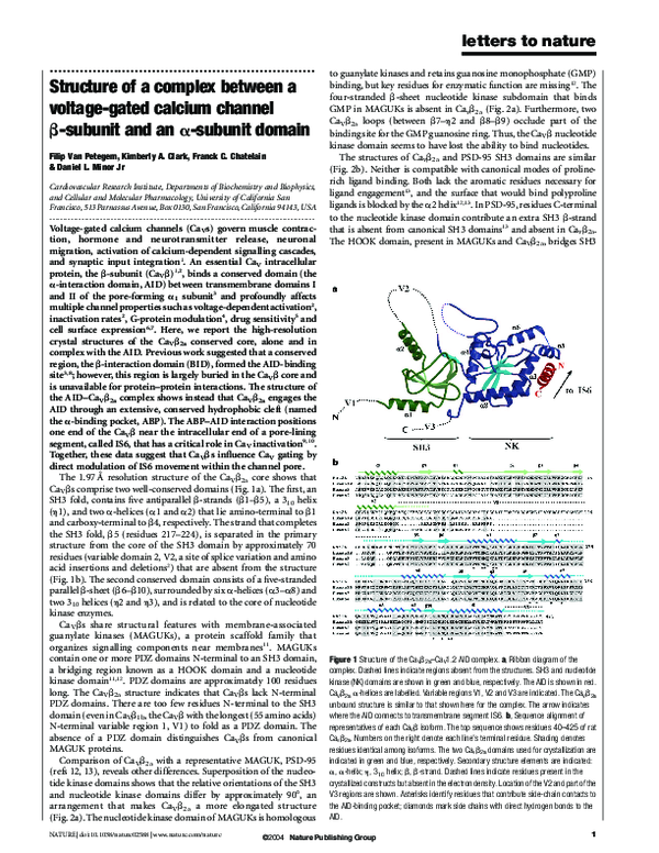 (PDF) Structure of a complex between a voltage-gated calcium channel β ...