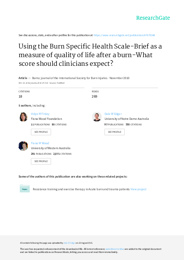 Classification essay samples free image