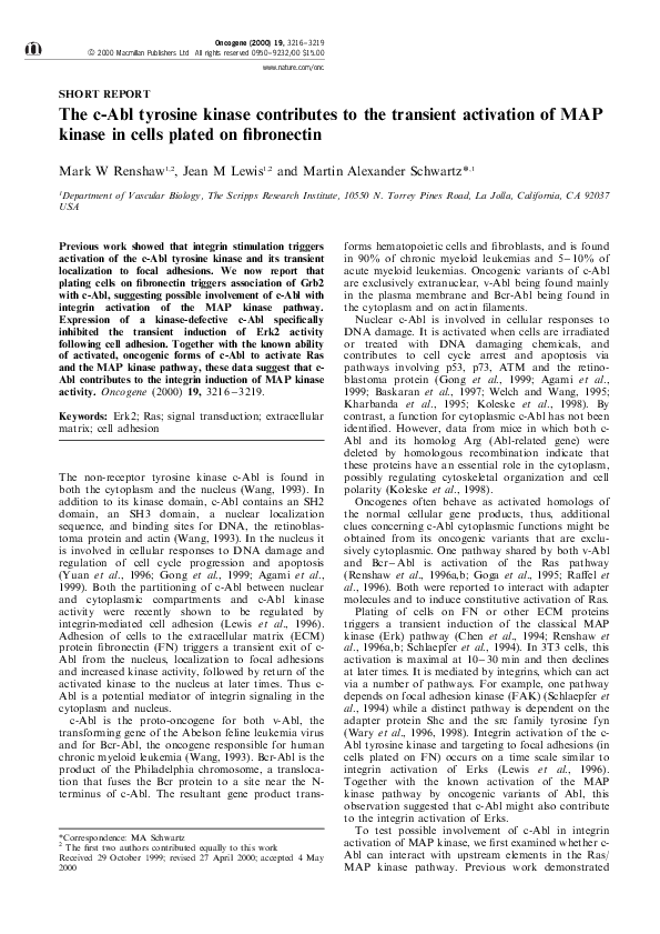 (PDF) The c-Abl tyrosine kinase contributes to the transient activation ...