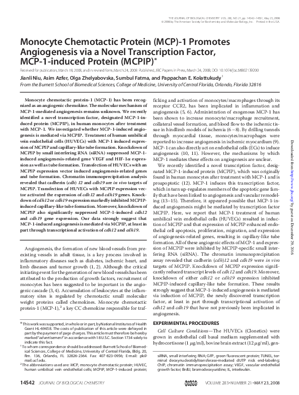 (PDF) Monocyte chemotactic protein (MCP)-1 promotes angiogenesis via a ...