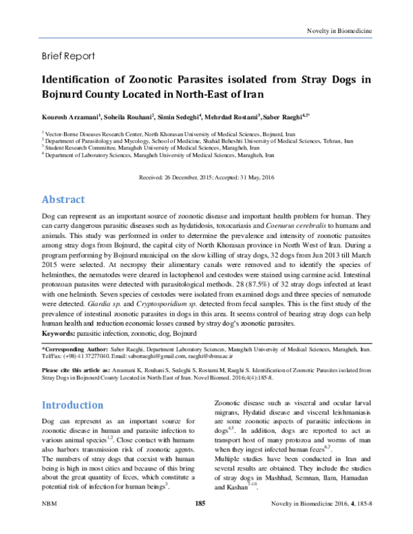 (PDF) Identification of Zoonotic Parasites isolated from Stray Dogs in ...