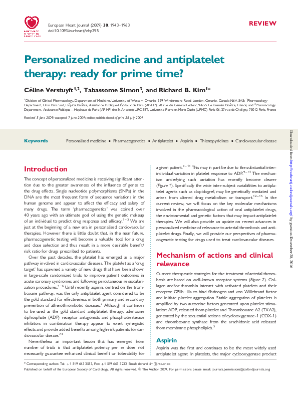 Types of personalized medicine picture