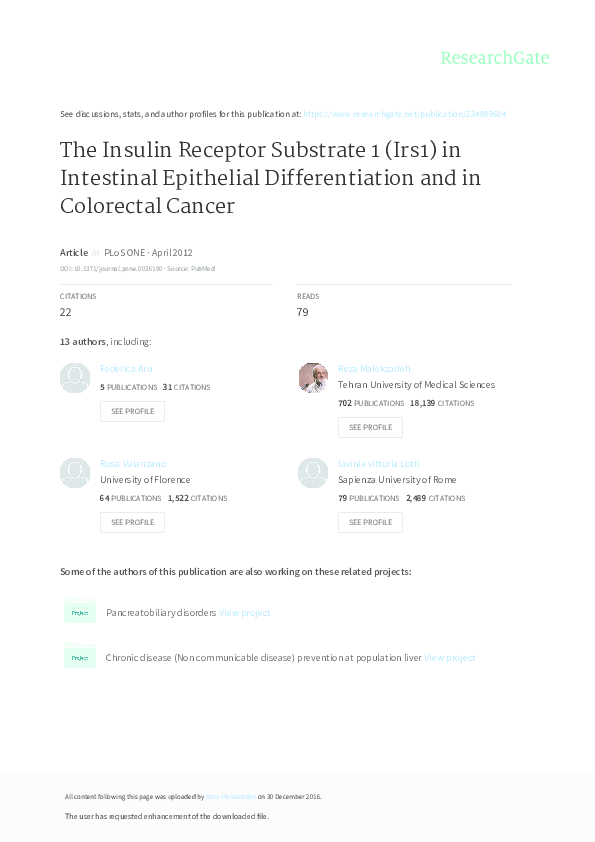 (PDF) The Insulin Receptor Substrate 1 (Irs1) in Intestinal Epithelial ...