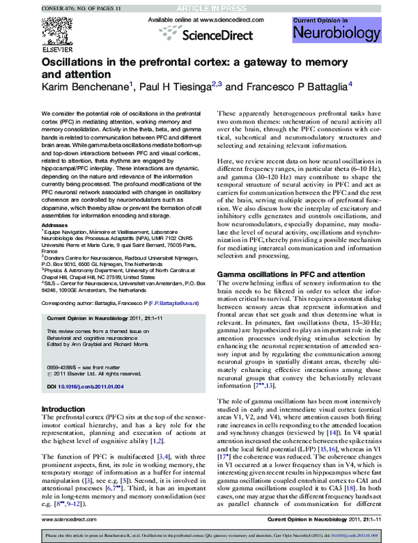 (PDF) Oscillations in the prefrontal cortex: a gateway to memory and ...