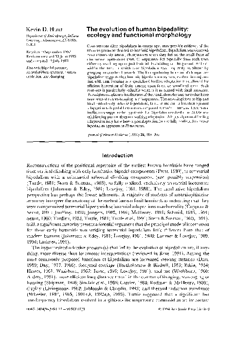 (PDF) The Evolution of Human Bipedality: Ecology and Functional Morphology