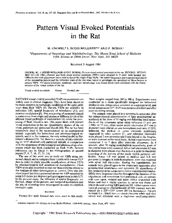(PDF) Pattern visual evoked potentials in the rat