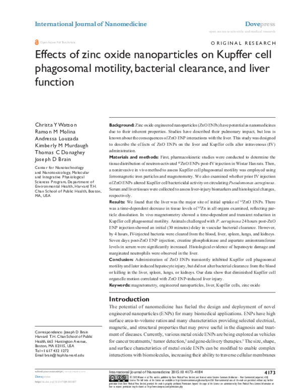 (PDF) effects of zinc oxide nanoparticles on Kupffer cell phagosomal ...
