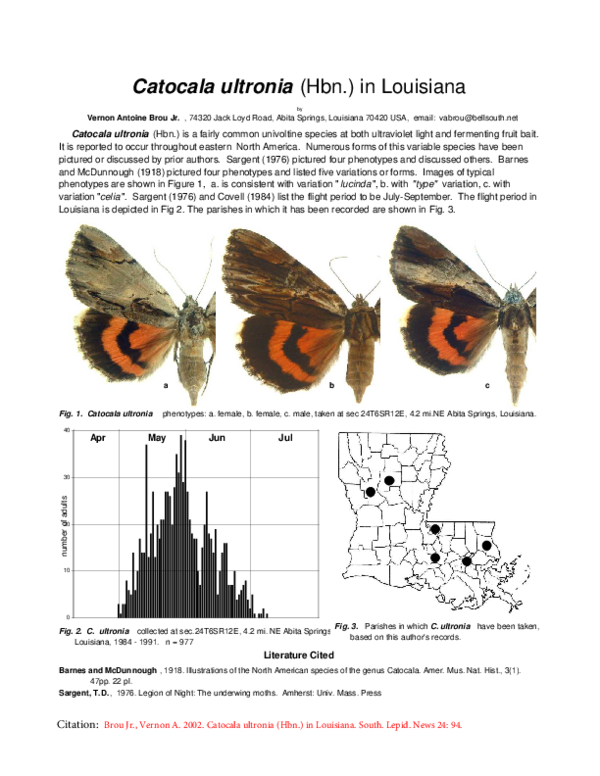 Types Of Moths In Louisiana