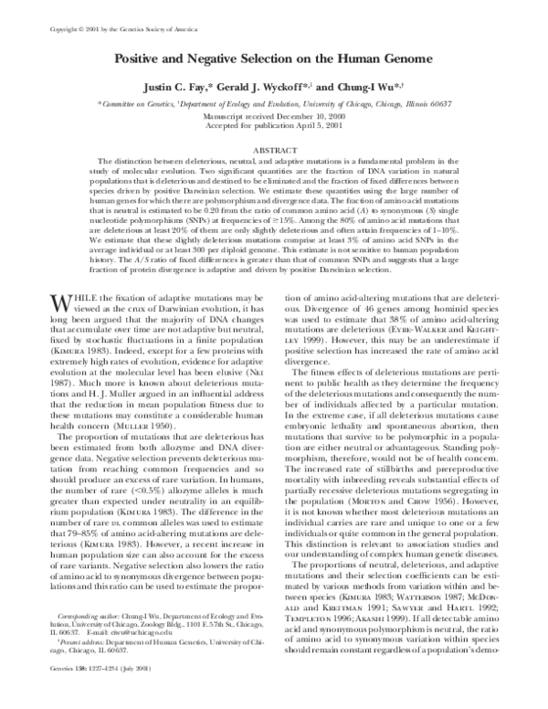 (PDF) Positive and Negative Selection on the Human Genome Justin Fay