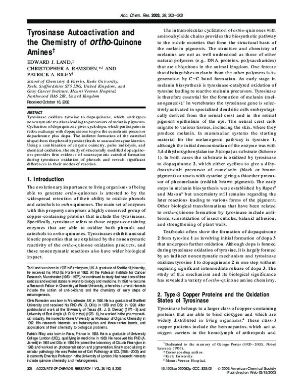 (PDF) Tyrosinase autoactivation and the chemistry of orthoquinone