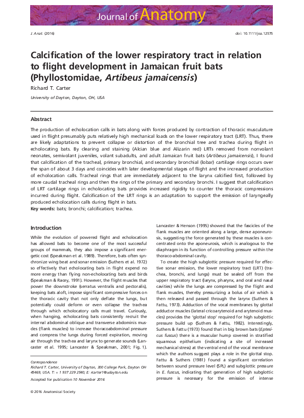 (PDF) Calcification of the lower respiratory tract in relation to ...