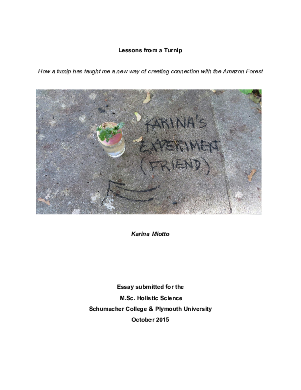 Turnip essay picture