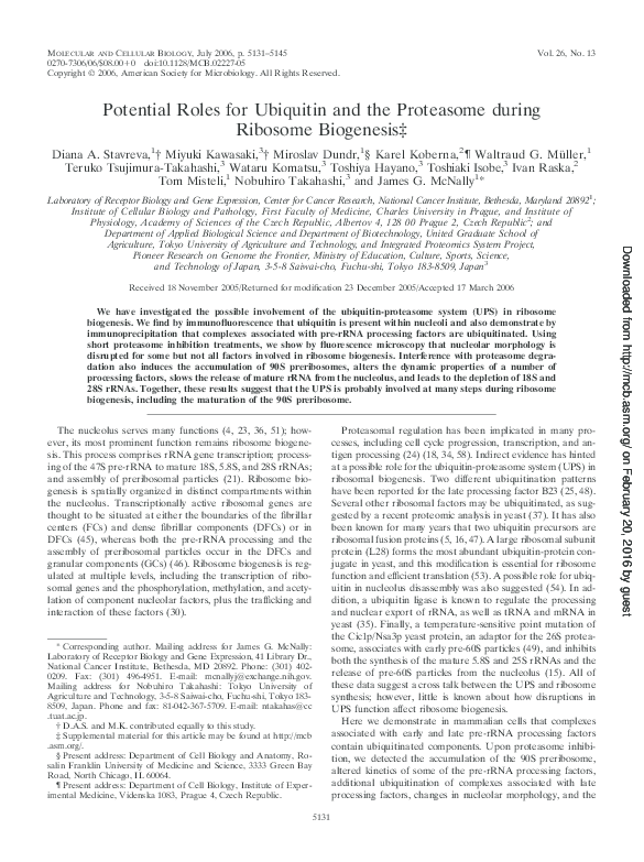 (PDF) Potential roles for ubiquitin and the proteasome during ribosome ...