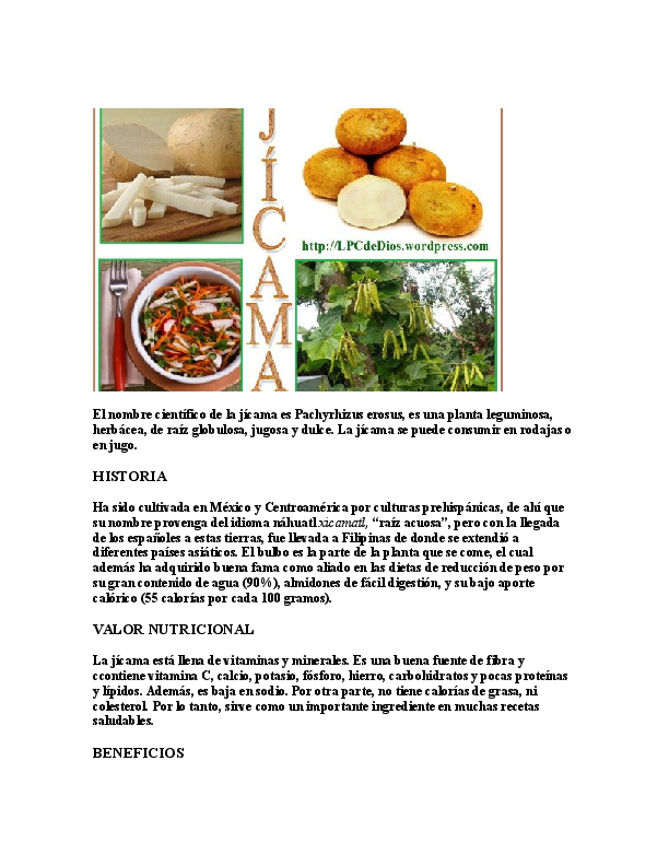 (DOC) El nombre cientifico de la jicama es Pachyrhizus erosus bryan