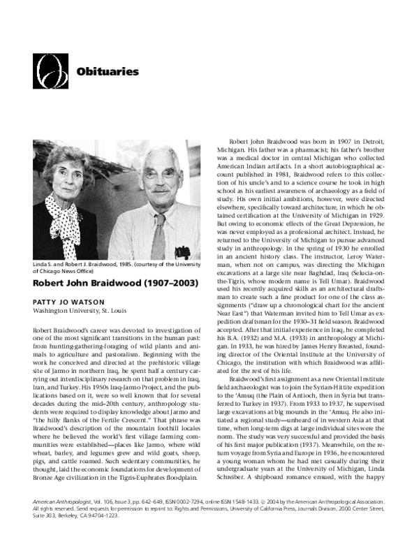 John ogbu involuntary minorities image